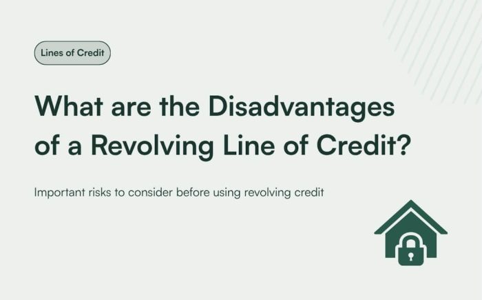 2 What are the Disadvantages of a Revolving Line of Credit
